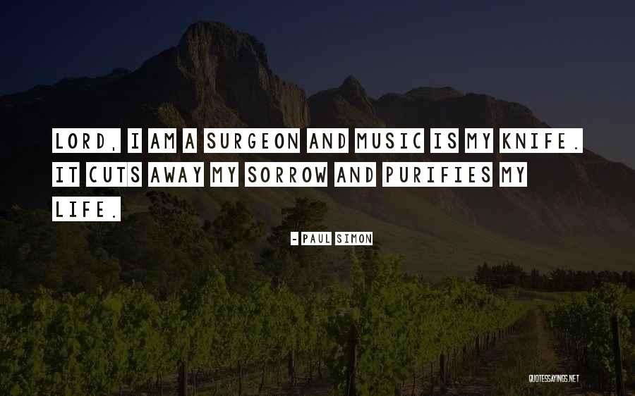 Rock Music In Life Quotes By Paul Simon