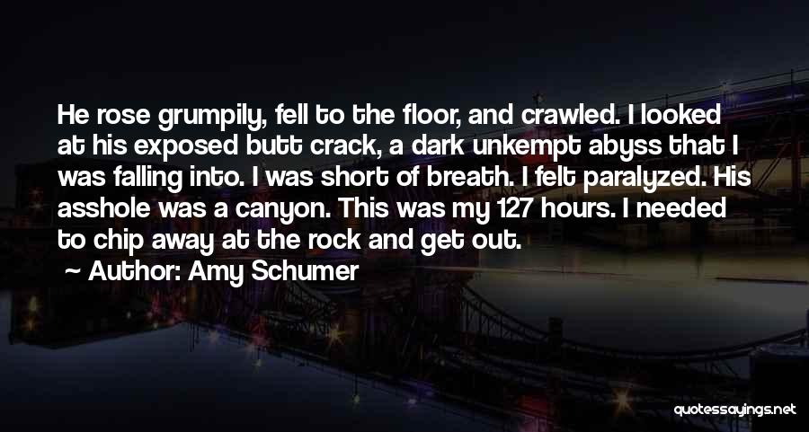 Rock Out Quotes By Amy Schumer