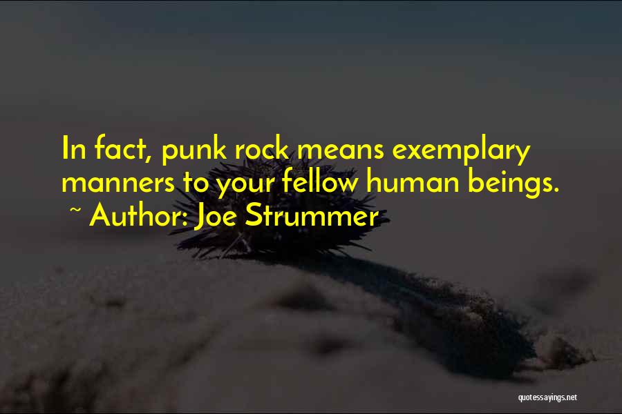 Rock Punk Quotes By Joe Strummer