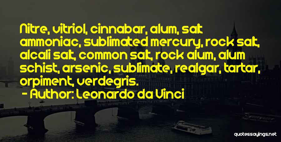 Rock Salt Quotes By Leonardo Da Vinci