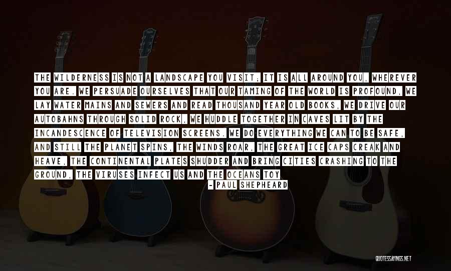 Rock Solid Quotes By Paul Shepheard Rock Solid Quotes By Paul Shepheard