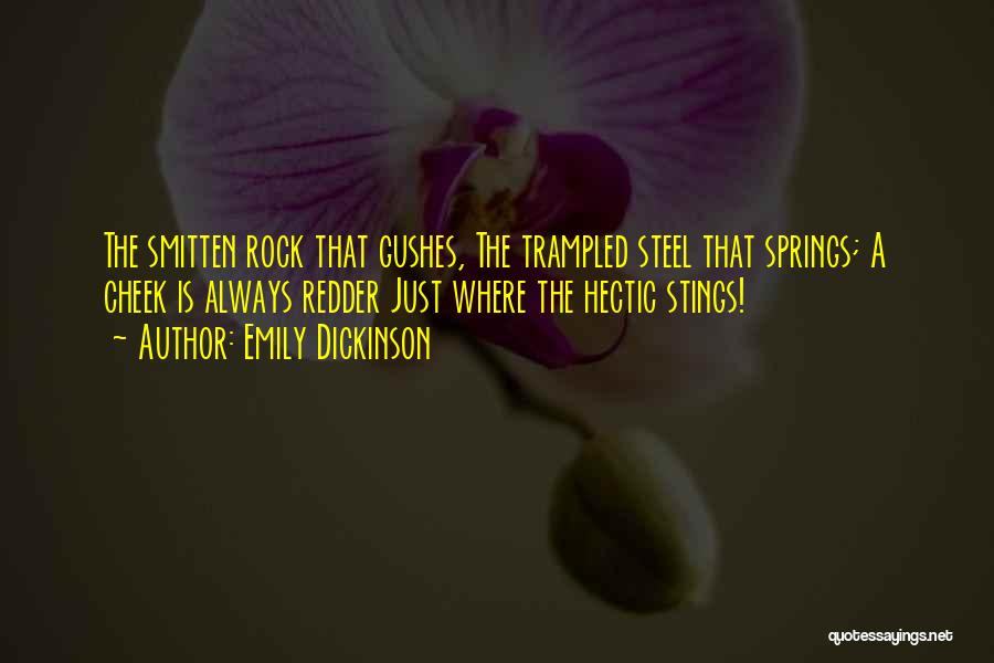 Rock Springs Quotes By Emily Dickinson