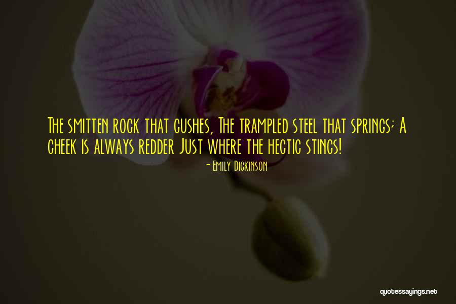 Rock Springs Quotes By Emily Dickinson