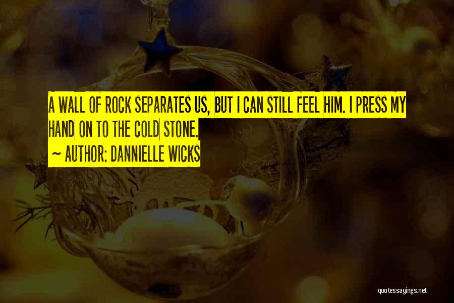 Rock Stars Quotes By Dannielle Wicks