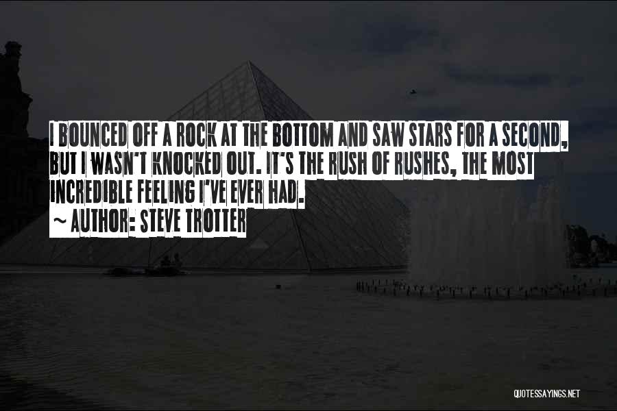 Rock Stars Quotes By Steve Trotter