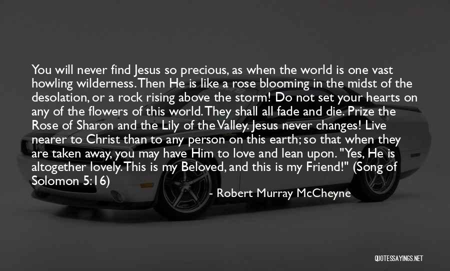 Rock Will Never Die Quotes By Robert Murray McCheyne Rock Will Never Die Quotes By Robert Murray McCheyne