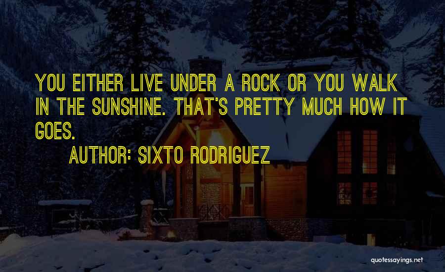Rock You Quotes By Sixto Rodriguez