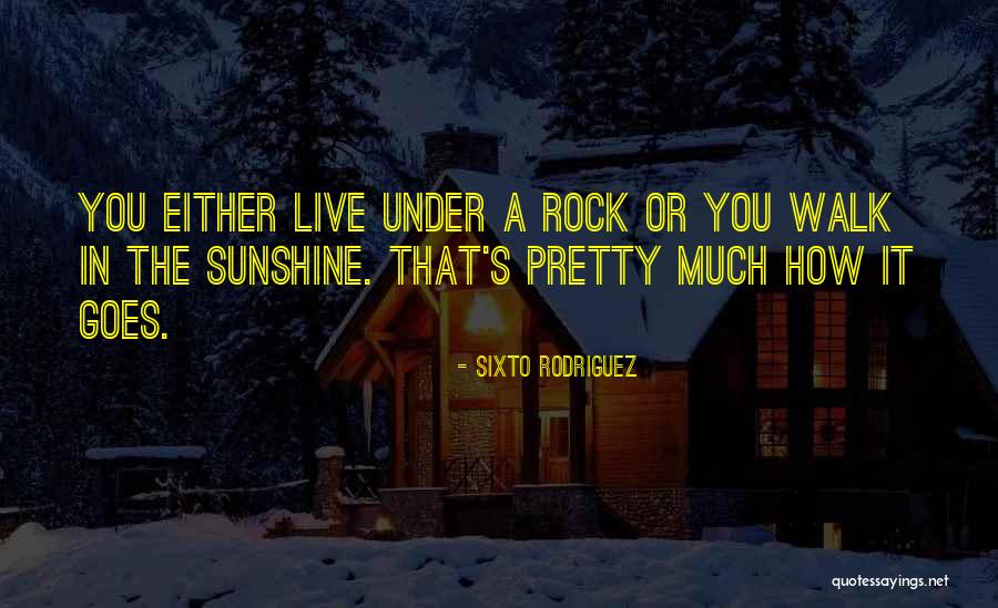 Rock You Quotes By Sixto Rodriguez