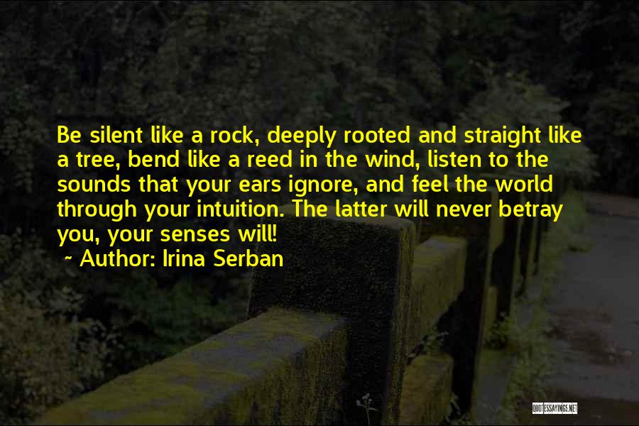 Rock Your World Quotes By Irina Serban