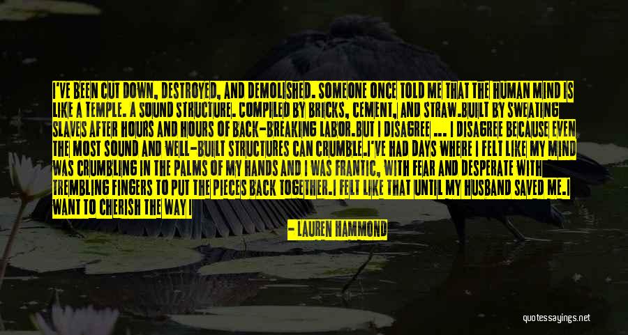 Rockchick Quotes By Lauren Hammond Rockchick Quotes By Lauren Hammond