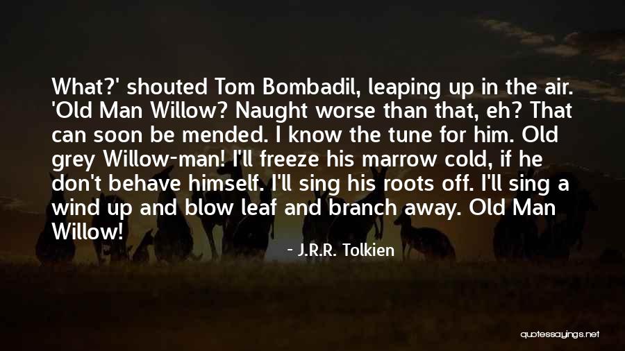 Rockenbaugh Mountain Quotes By J.R.R. Tolkien Rockenbaugh Mountain Quotes By J.R.R. Tolkien