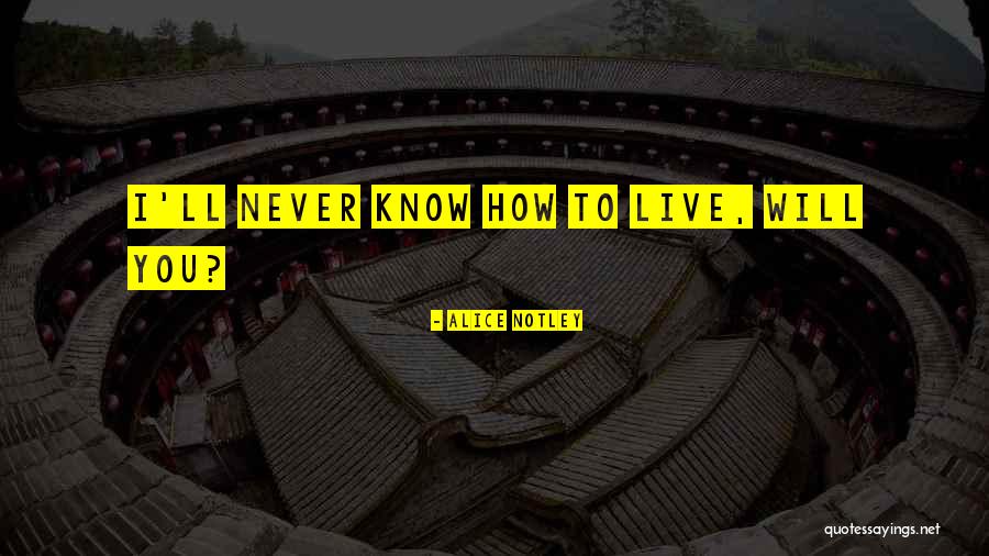 Rockers And Gliders Quotes By Alice Notley
