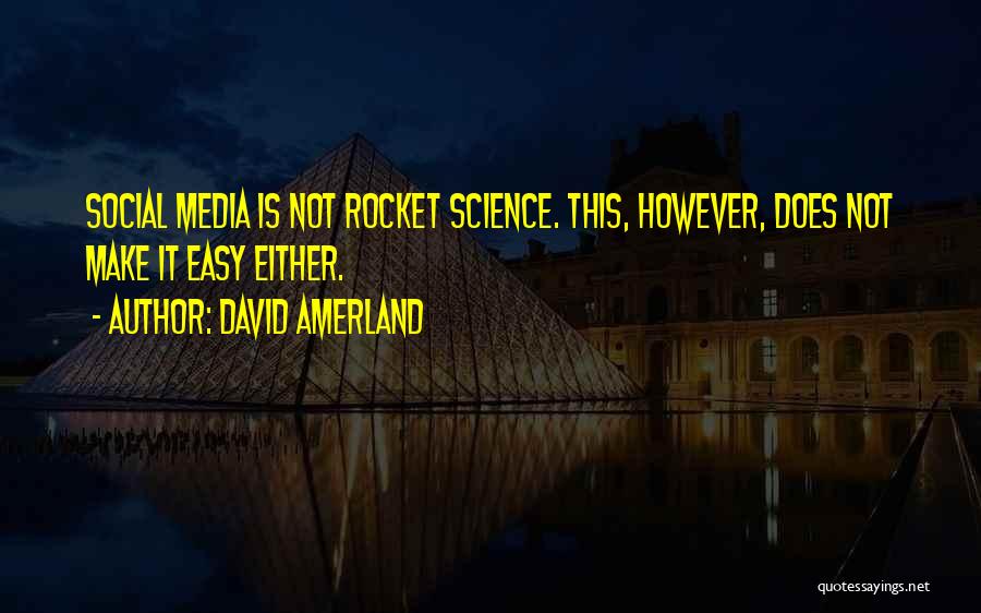 Rocket Science Quotes By David Amerland