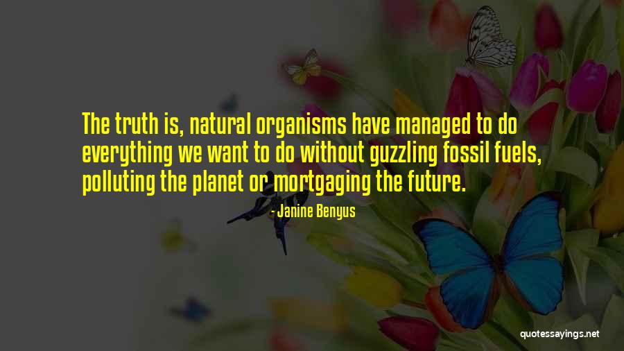 Rockhampton Quotes By Janine Benyus Rockhampton Quotes By Janine Benyus