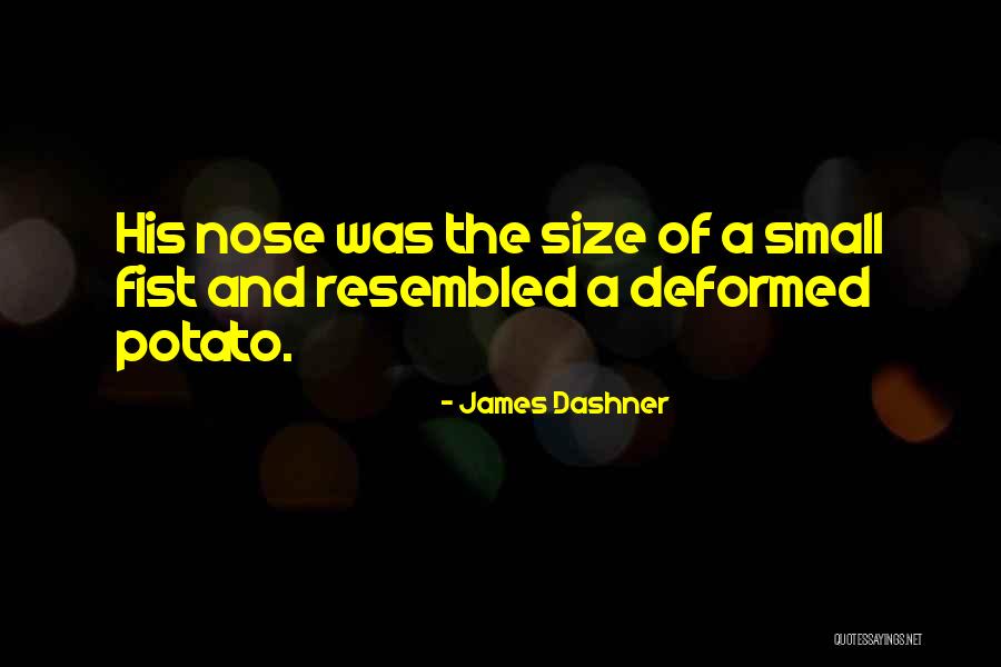 Rockiest Coastlines Quotes By James Dashner Rockiest Coastlines Quotes By James Dashner