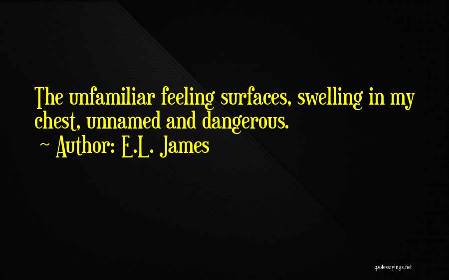 Rockiest Mountain Quotes By E.L. James
