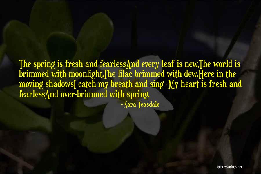Rockit Fly Band Quotes By Sara Teasdale Rockit Fly Band Quotes By Sara Teasdale