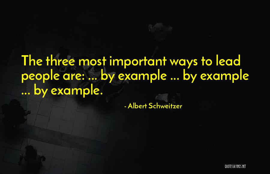Rockpools Quotes By Albert Schweitzer Rockpools Quotes By Albert Schweitzer