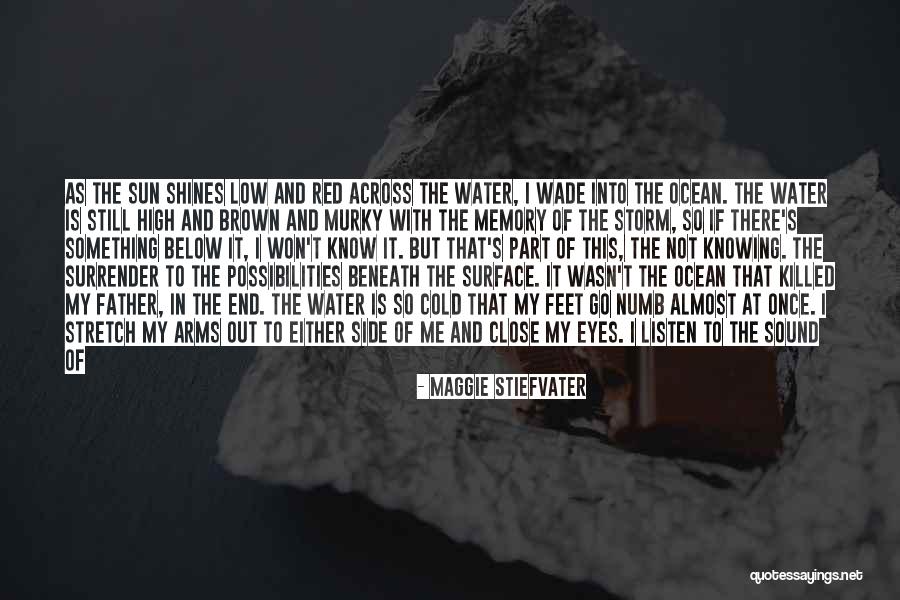 Rocks And Ocean Quotes By Maggie Stiefvater