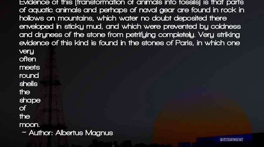 Rocks And Water Quotes By Albertus Magnus