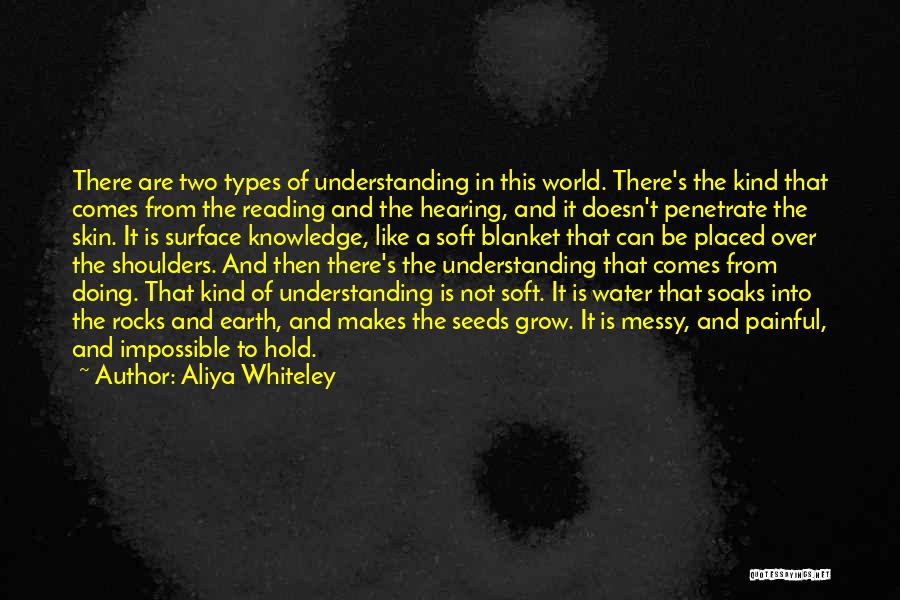 Rocks And Water Quotes By Aliya Whiteley