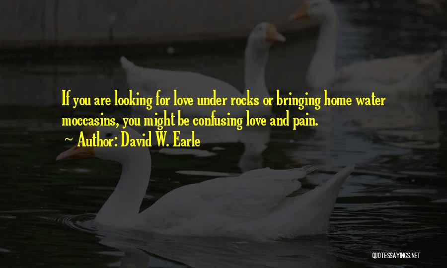 Rocks And Water Quotes By David W. Earle