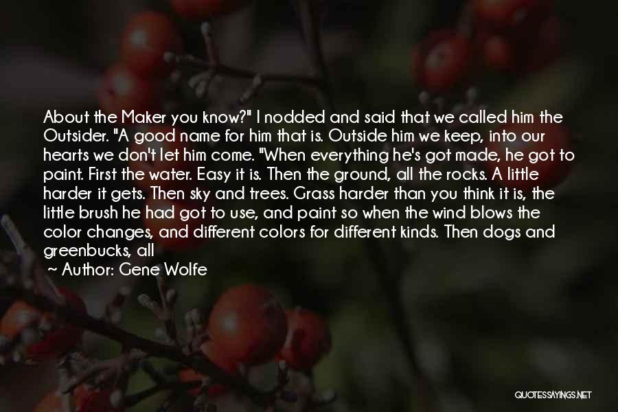 Rocks And Water Quotes By Gene Wolfe