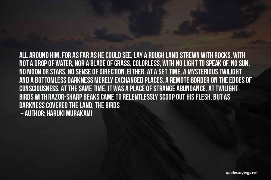 Rocks And Water Quotes By Haruki Murakami