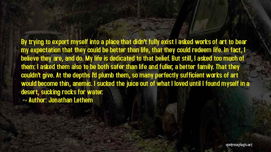 Rocks And Water Quotes By Jonathan Lethem