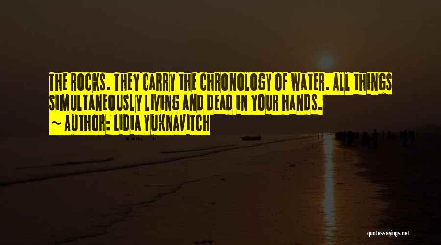 Rocks And Water Quotes By Lidia Yuknavitch