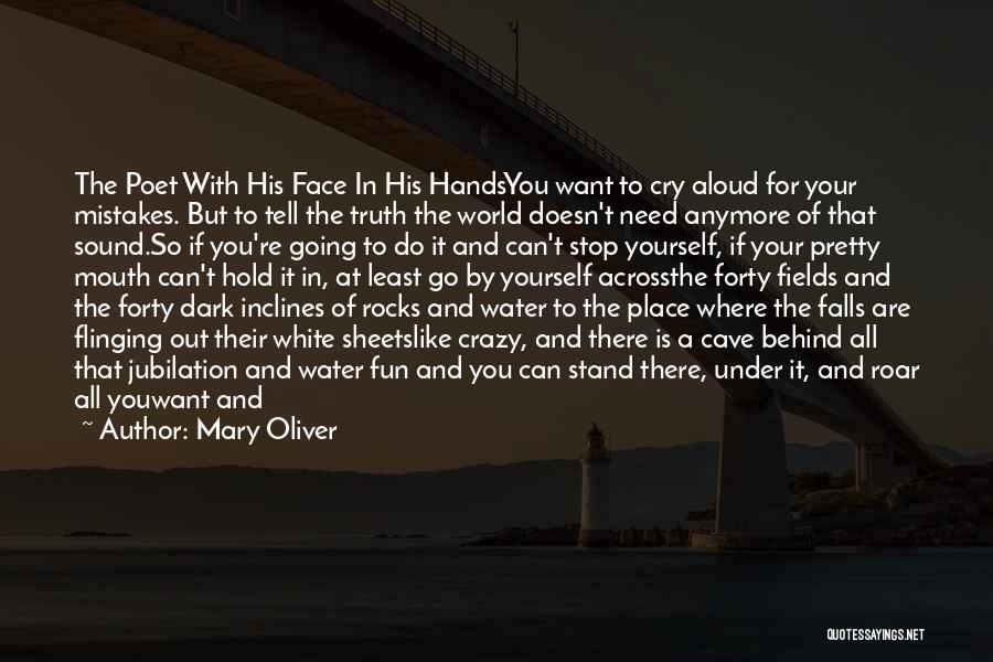 Rocks And Water Quotes By Mary Oliver