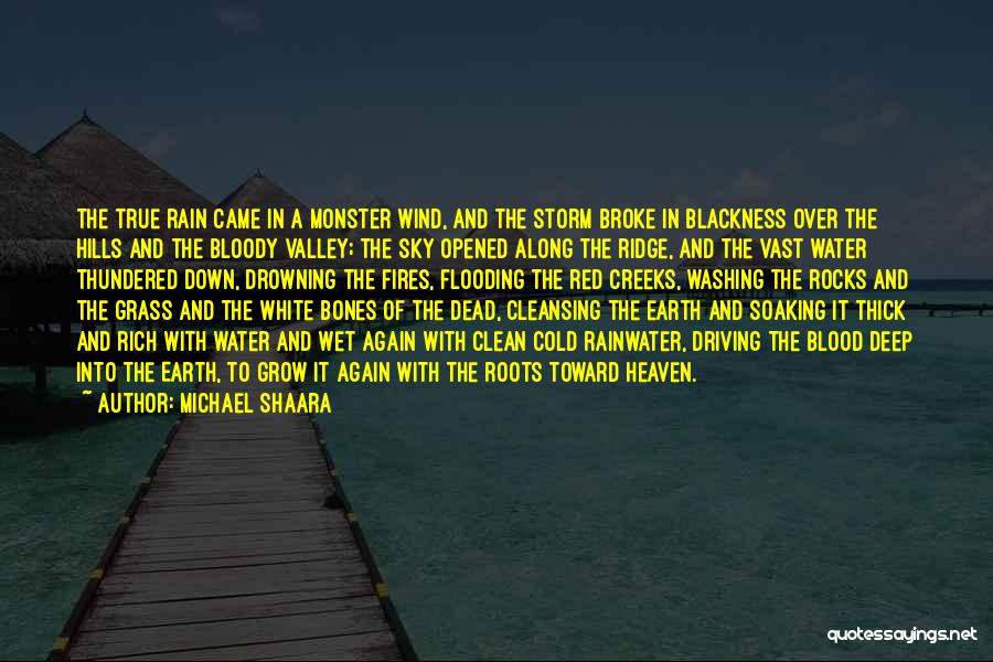 Rocks And Water Quotes By Michael Shaara