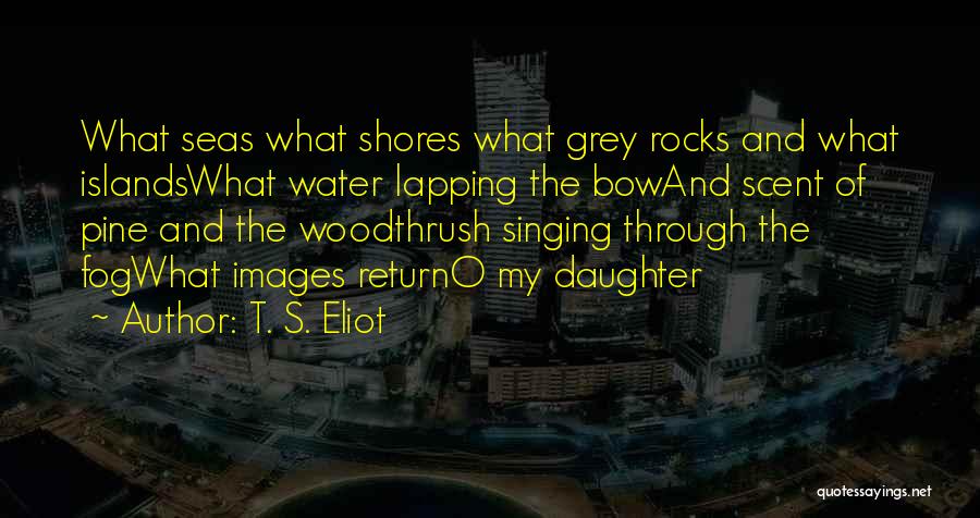 Rocks And Water Quotes By T. S. Eliot