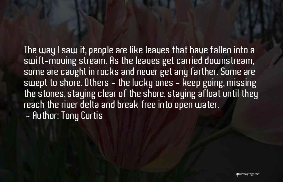 Rocks And Water Quotes By Tony Curtis