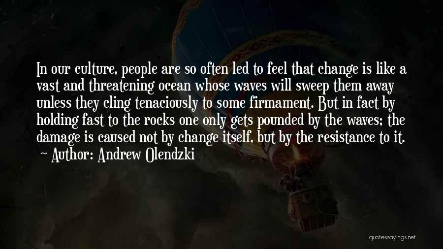 Rocks And Waves Quotes By Andrew Olendzki