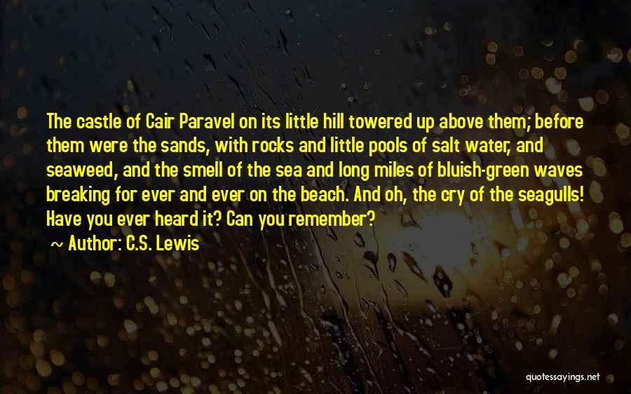 Rocks And Waves Quotes By C.S. Lewis