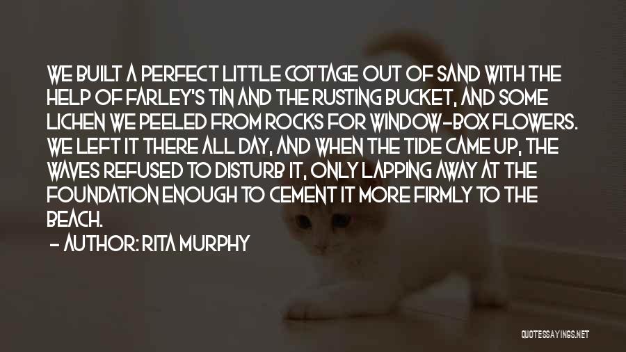 Rocks And Waves Quotes By Rita Murphy