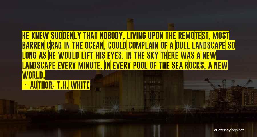 Rocks In The Ocean Quotes By T.H. White