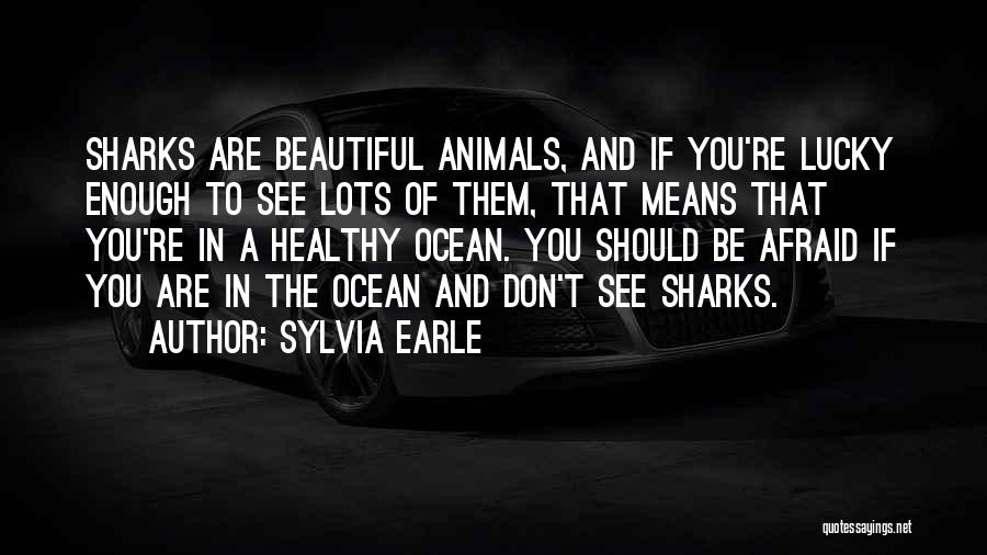 Rockstar Memorable Quotes By Sylvia Earle