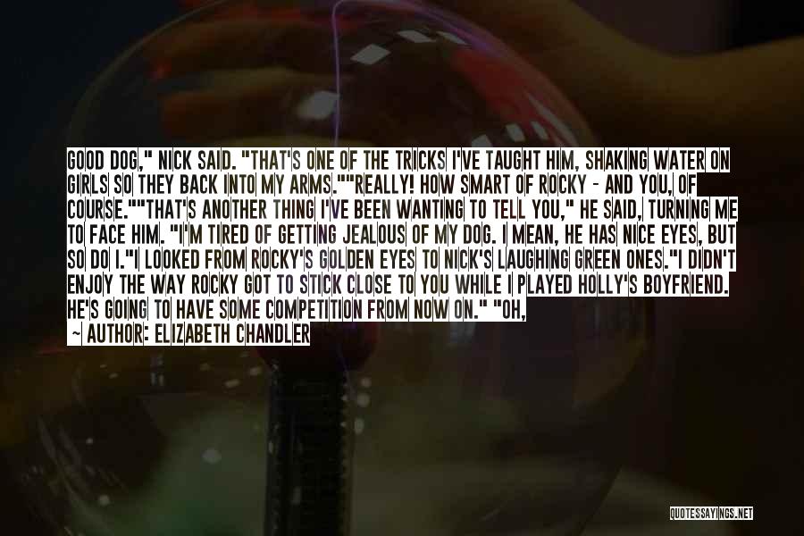 Rocky 6 Quotes By Elizabeth Chandler