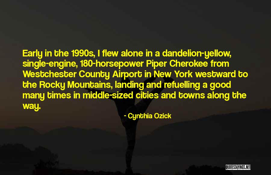 Rocky Mountains Quotes By Cynthia Ozick