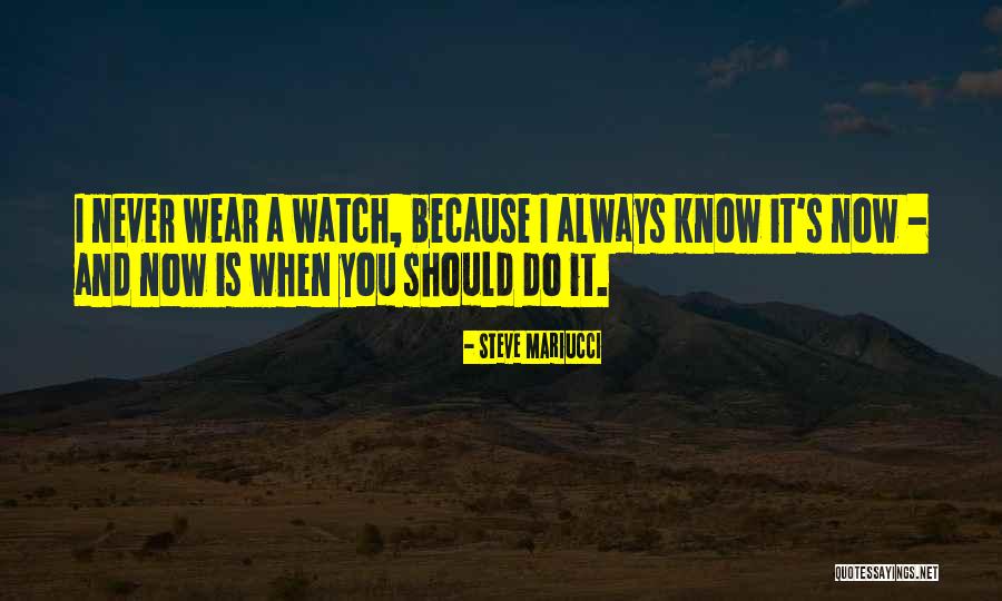 Rocky S Song Quotes By Steve Mariucci Rocky S Song Quotes By Steve Mariucci