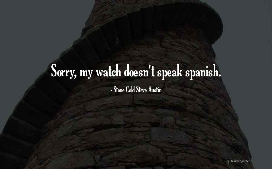 Rodda Paint Quotes By Stone Cold Steve Austin Rodda Paint Quotes By Stone Cold Steve Austin