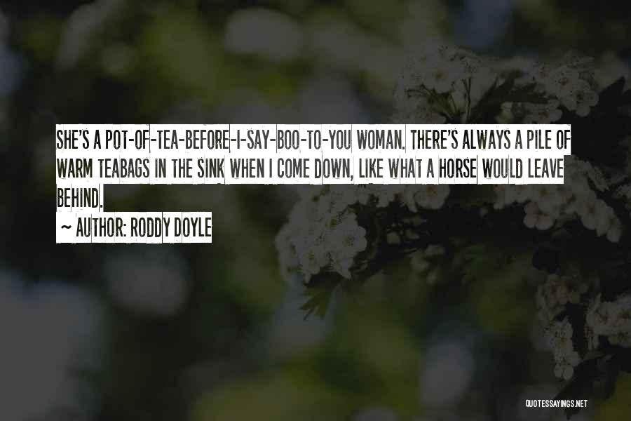 Roddy Doyle Quotes 1688938