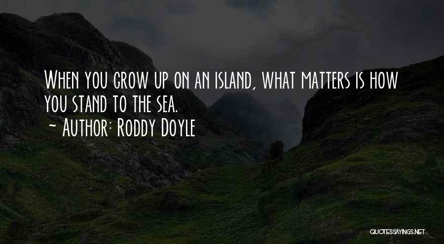 Roddy Doyle Quotes 1708338