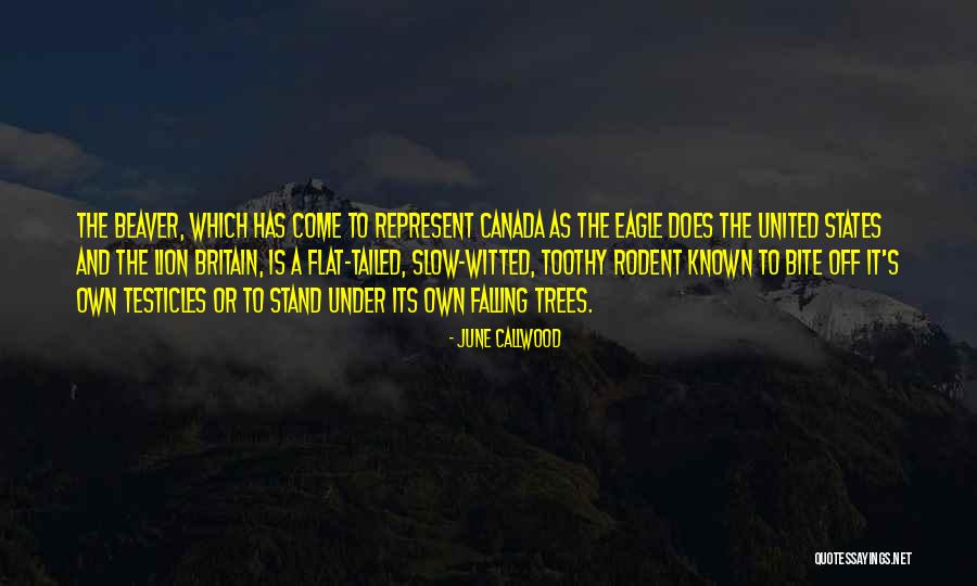 Rodent Quotes By June Callwood Rodent Quotes By June Callwood