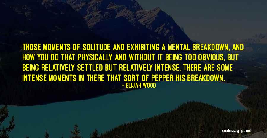 Roderick Morgenstern Quotes By Elijah Wood Roderick Morgenstern Quotes By Elijah Wood