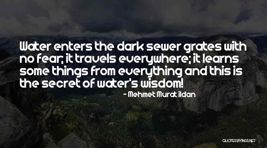 Rodial Banana Quotes By Mehmet Murat Ildan Rodial Banana Quotes By Mehmet Murat Ildan