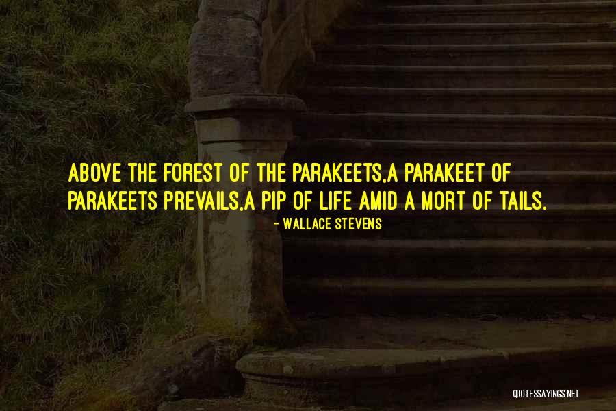 Rodila Maja Quotes By Wallace Stevens Rodila Maja Quotes By Wallace Stevens