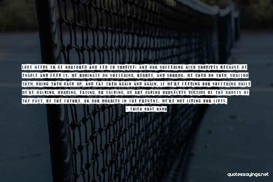 Rodner Padilla Quotes By Thich Nhat Hanh Rodner Padilla Quotes By Thich Nhat Hanh